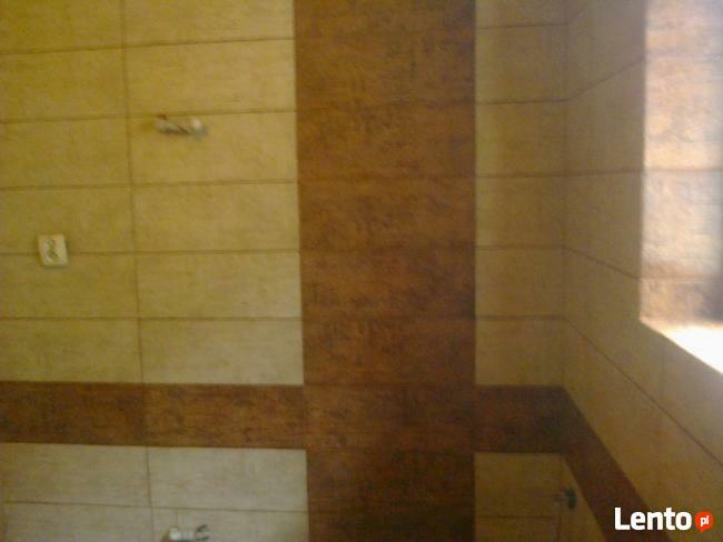 Oferuję układanie łazienek: kamień, gres, terakota.