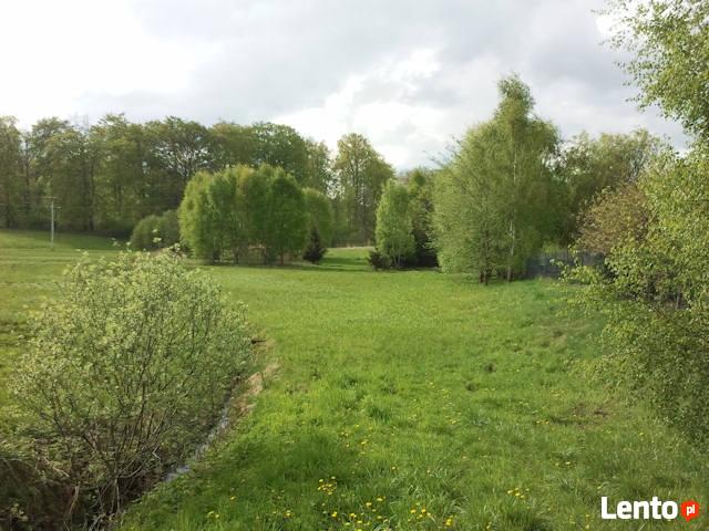 Sprzedam działkę nad Jeziorem Świekatowskim w Borach