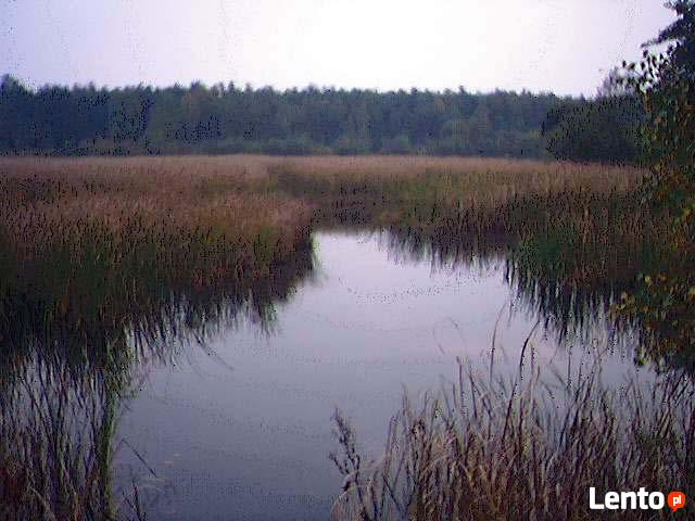 2 działki rekreacja las stawy 2806+3517m2 na jurze tanio