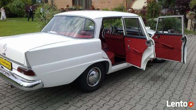Białym Jaguarem do ślubu klasyk z lat 80-tych XX wieku