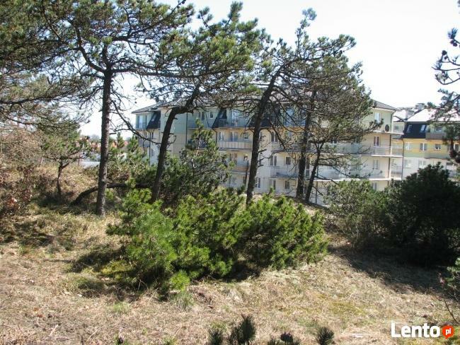 LATO, WAKACJE, URLOP 2026 apartament nad morzem