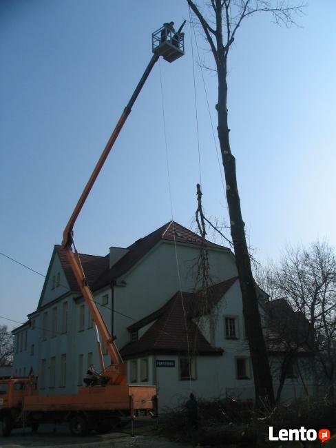 WYCINKA PIELĘGNACJA DRZEW