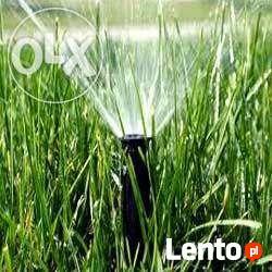 zakładanie ogrodów