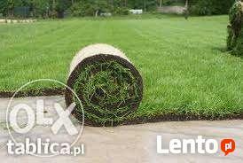 zakładanie ogrodów