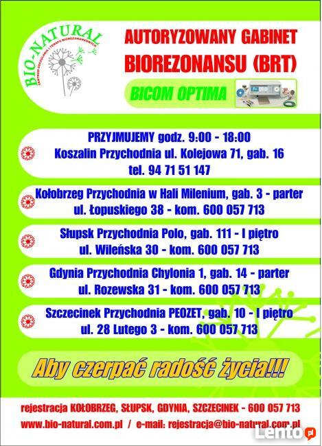 Testy: alergiczne, borelioza i koinfekcje, pasożyty