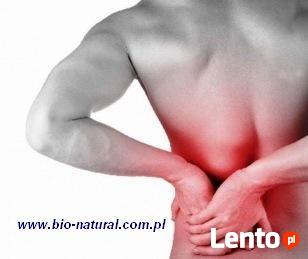 Testy: alergiczne, borelioza i koinfekcje, pasożyty