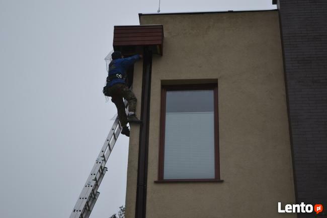 Kolce na ptaki, kolce przeciw gołębiom