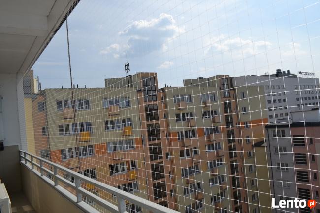 Kolce na ptaki, kolce przeciw gołębiom