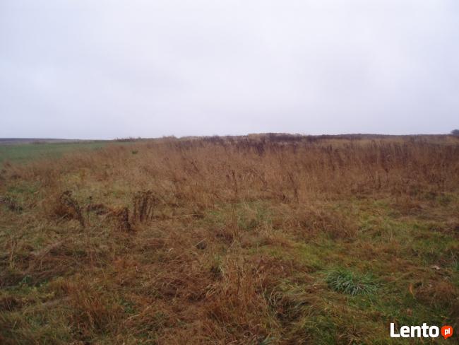 Działka 2940m2 Sąspów w studium MPZP budowlano - rolna.