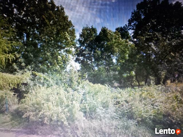 Przepiękną Działkę o pow.1,36ha w Swiebodzicach