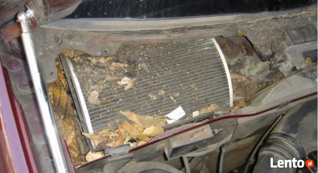 Siedlce ozonowanie odgrzybianie dezynfekcja auta z dojazdem