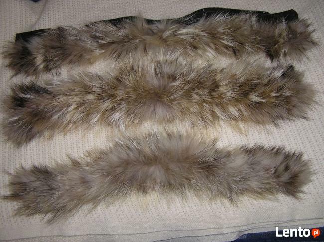 Naturalne Jenoty obszycia dł 60 cm 2 szt +1 szt 50 cm