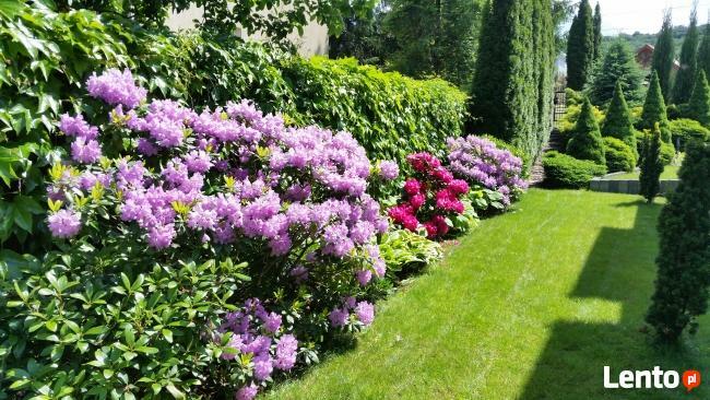 PROJEKTOWANIE, ZAKŁADANIE I PIELĘGNACJA OGRODÓW