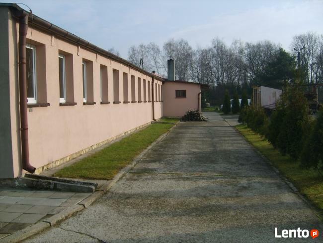 Lokal 110m2 do wynajęcia