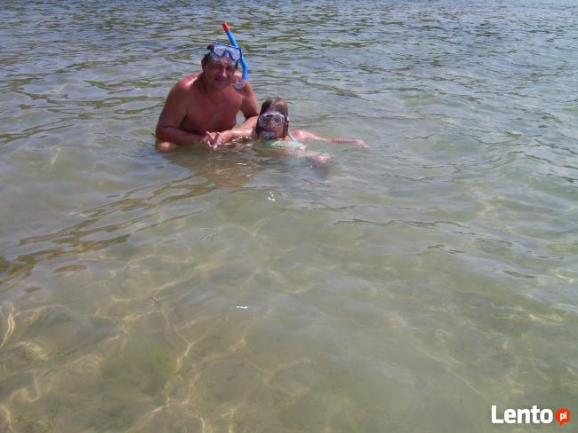 Całe Bałkany !! Pilotaż ,Noclegi , programy !