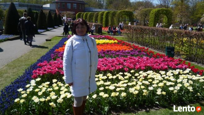 HOLANDIA 22-26.04.2026 Wiatraki Sery Rowery 5 dni atrakcji