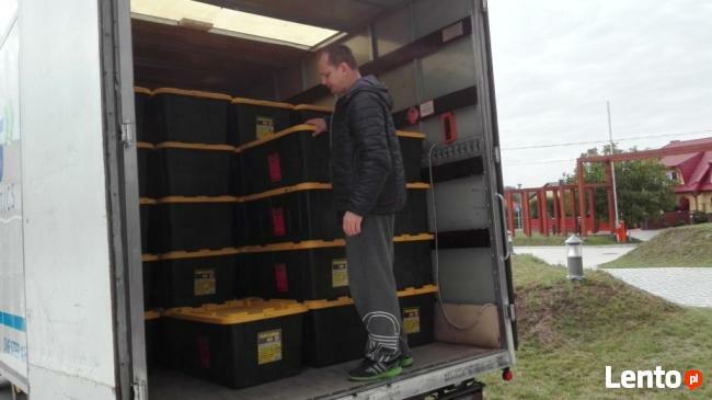 OFERTA FIRMA TRANSPORTOWA SZUKA STAŁYCH ZLECEŃ RÓŻNE AUTA