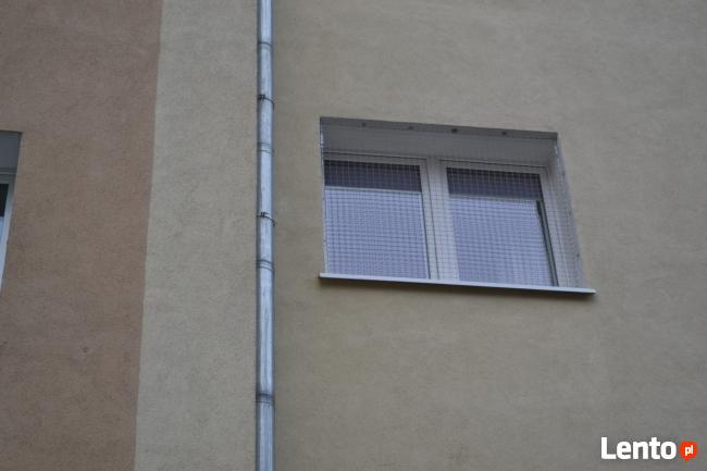 Siatka dla kota Poznań