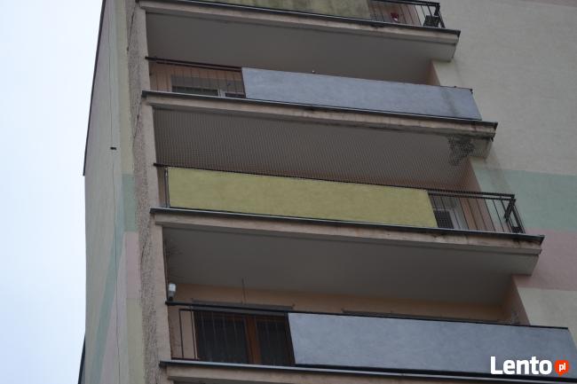 Siatka dla kota Poznań