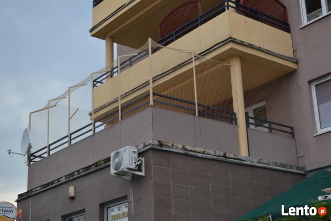 Siatka dla kota Poznań