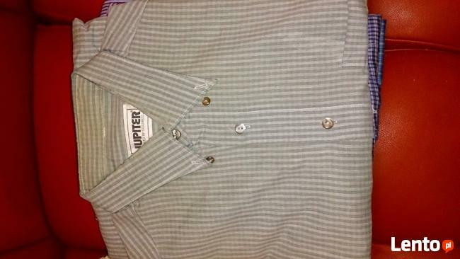 Koszule męskie krótki i długi rękaw