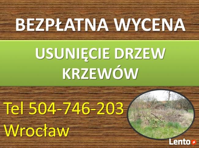 Czyszczenie działek, cennik tel. 504-746-203, karczowanie