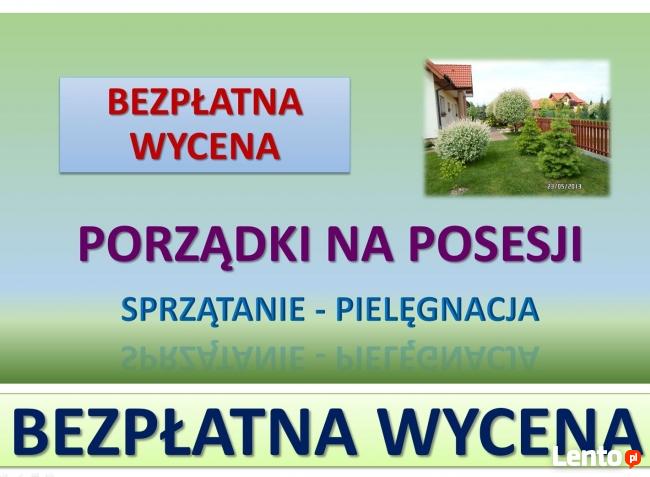 Czyszczenie działek, cennik tel. 504-746-203, karczowanie