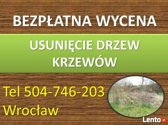 Obcięcie żywopłotu cennik tel 504-746-203