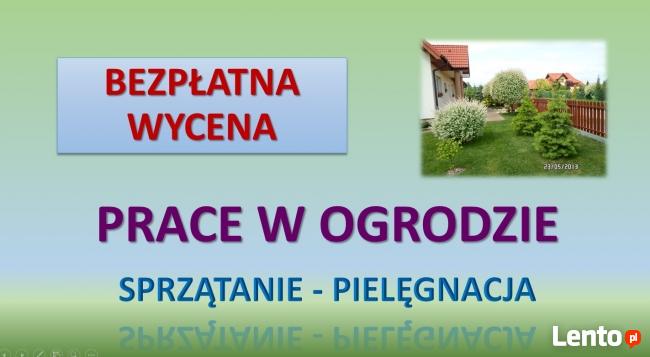 Czyszczenie działek, cennik tel. 504-746-203, karczowanie