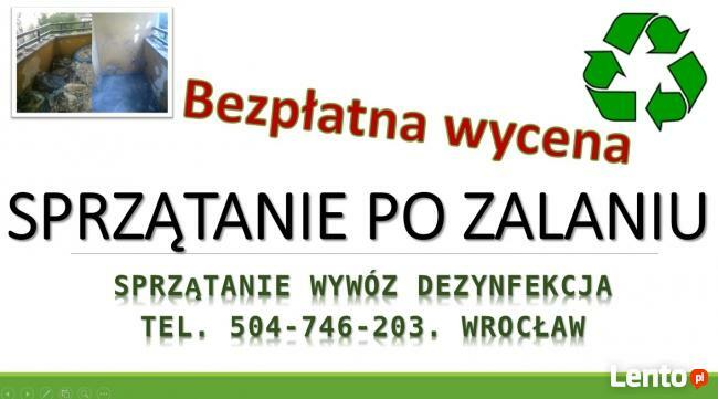 Usługi dezynfekcji cena, tel. 504-746-203. Sprzątanie