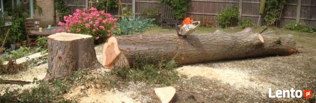 Usługi ogrodnicze ,pielęgnacja ogrodów