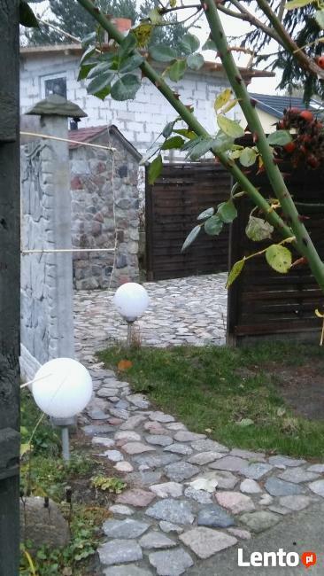 Usługi ogrodnicze ,pielęgnacja ogrodów