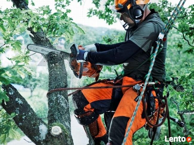 Usługi ogrodnicze ,pielęgnacja ogrodów