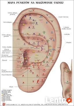AKUPUNKTURA leczenie BÓLU, MIGREN, ZATOK, NAŁOGI, ODCHUDZANI