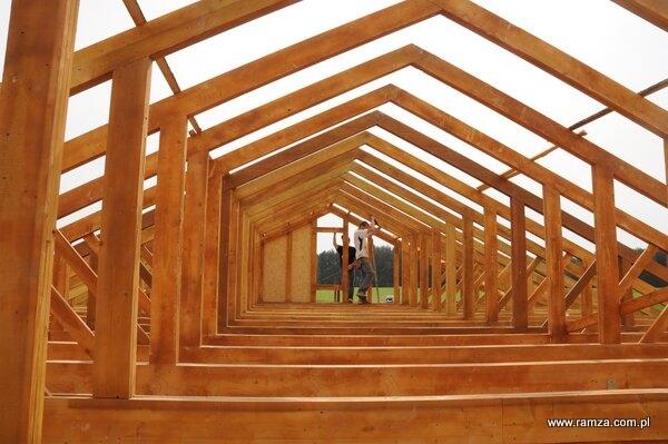 Domy szkieletowe, kanadyjskie, domy z drewna