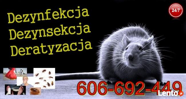 DDD - Kędzierzyn-Koźle - Dezynfekcja Dezynsekcja Deratyzacja