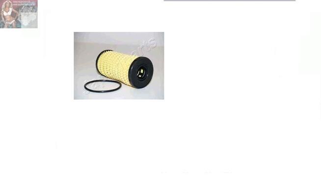 FILTR OLEJU NISSAN/OPEL/RENAULT 2.0 CDTI/DCI 05> SZT JAPAN