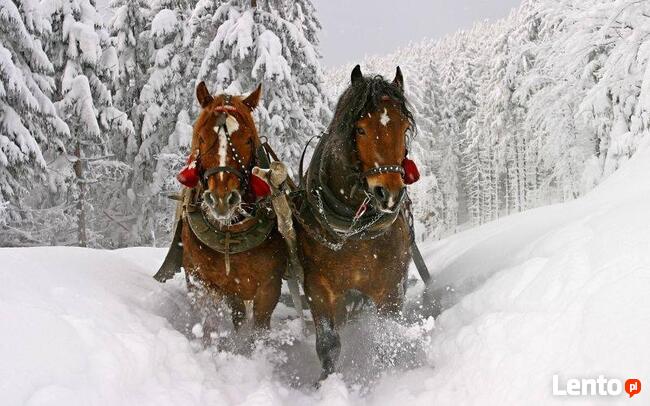 Zbójnicki sylwester z kuligiemw Wiśle