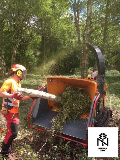 Błyskawiczna, bezpieczna wycinka i pielęgnacja drzew Wrocław