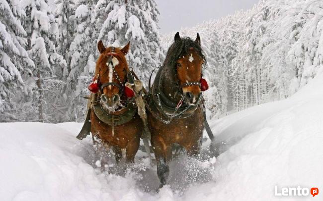Zbójnicki sylwester z kuligiemw Wiśle