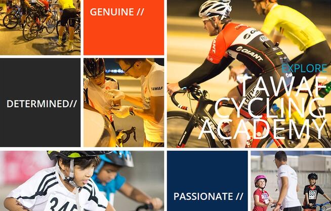 Nowoczesne strony internetowe www Wordpress RWD CMS