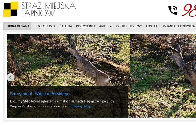 Tworzenie stron internetowych Wordpress responsywne rwd