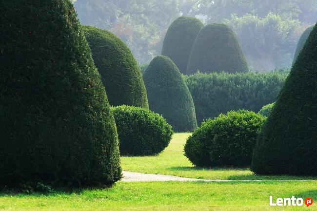 Nawadnianie, Odwodnienia, Trawniki, Drenaże, OGRÓD