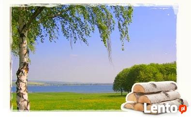 Drewno kominkowe poznań i okolice