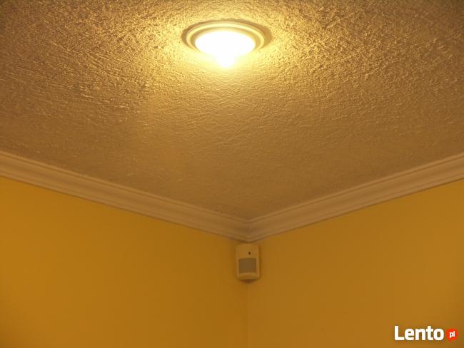 Trzebnica, lokal na biuro, gabinet, usługi, sklep