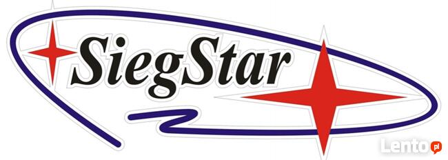 Podnośnik warsztatowy kolumnowy Twin Busch Niemcy