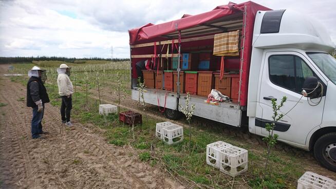 R1 Trans Transport Przeprowadzki oferuje usługi: