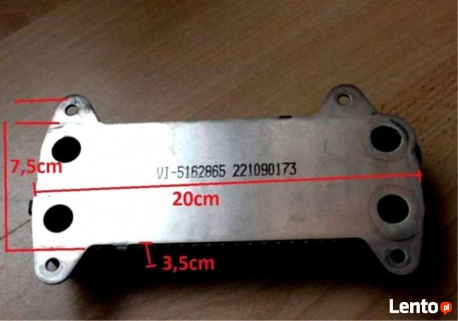 wymiennik plytowy Viessmann Vitopend 100 WH0A WH04