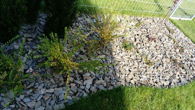 Kora kamienna- łupek szarogłazowy - 1 tona