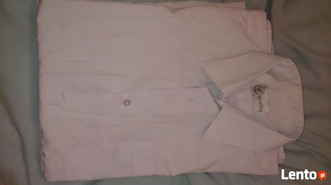 Koszule męskie krótki i długi rękaw